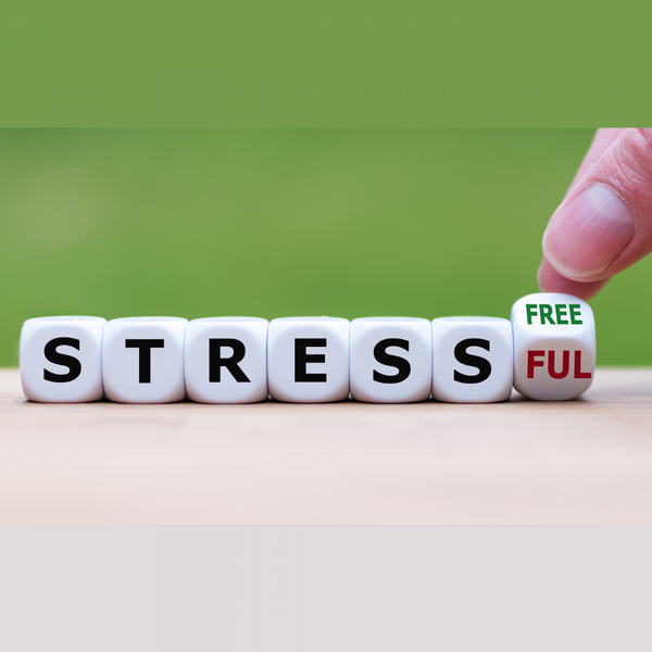 Stress Busting in the 21st Century Stress Busting in the 21st Century