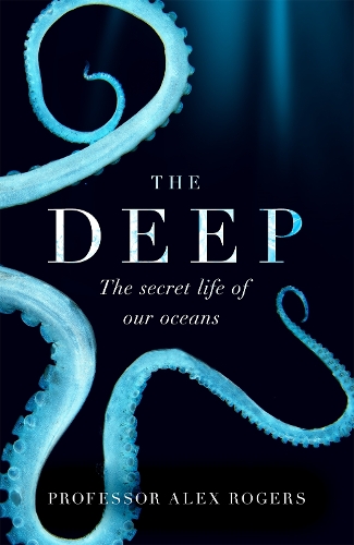 Deep, The: The Hidden Wonders of Our Oceans and How We Can Protect Them