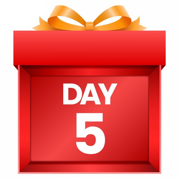 Day 5