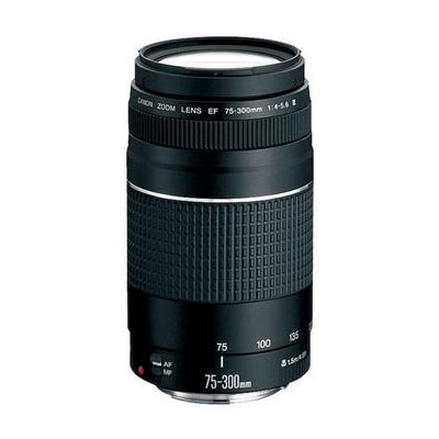 Canon EF 75-300mm f/4.0-5.6 III Lens
